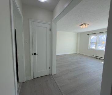 For Lease - 55 Glendale Avenue, Glebe - Ottawa East and Area, Ontario - Photo 6