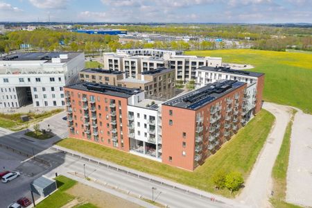 Moderne lejebolig i Odense M med stor tagterrasse - perfekt til den studerende/delebolig - Photo 5
