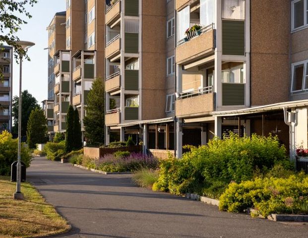 Fjällsyran 5 - Foto 1