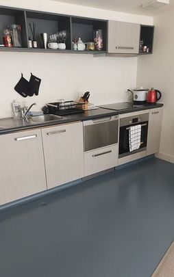 Fully Furnished Warm Sunny Apartment - Photo 1