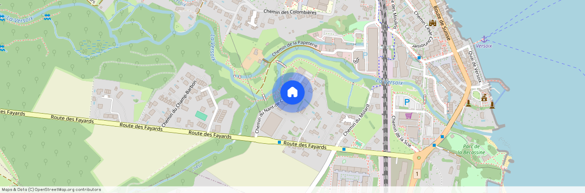 Chemin du Nant-Crève-Coeur 10, 1290 Versoix