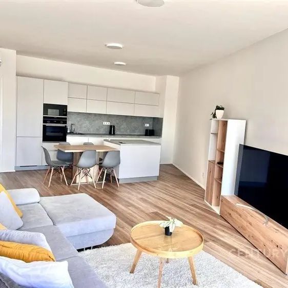 Pronájem kompletně vybaveného bytu 2+kk 118 m - Fotografie 1