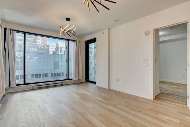 Condo for rent, Montréal (Ville-Marie) - Photo 1