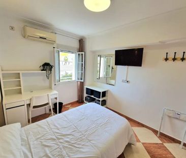 Avenida la Montería, Sevilla, Andalusia 41006 - Photo 4