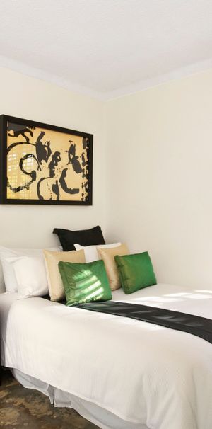 Stylish Sun-filled One Bedroom Apartment - Photo 1