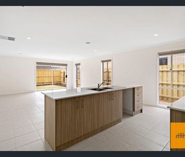 Live in the Perfect Home! - Photo 3