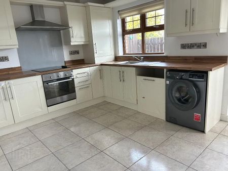 20 Piney Way, Magherafelt, BT45 6FF - Photo 4