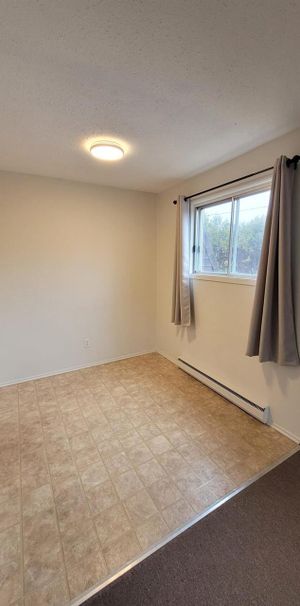 29 Rue Des Flandres (Gatineau) Beau 3 1/2 Près D'Ottawa - Photo 1