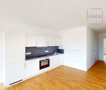 Helle 3-Zimmer-Wohnung mit Einbauküche und Duschbad - Photo 2