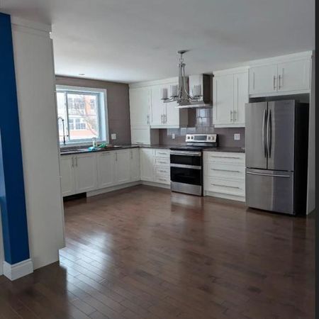 Loue grand 4/1/2 Laval 1278 pc bus et métro cartier à proxi 1 Sdb baig +dou 2 chamb Électros inclus immeuble de 3 log quartier residentiel - Photo 3