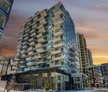 Like New Fully Upgraded 1 Bed 1 Bath in Parkside with River Views |... - Photo 1