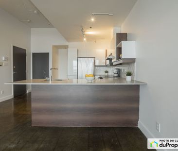 5638 avenue du Parc, Le Plateau-Mont-Royal à louer - Photo 6