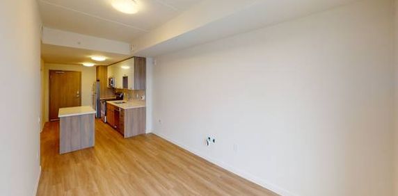 1 Bedroom Apartment - Walnut Place - Hamilton - Photo 2