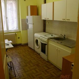 STRASBOURG : appartement 2 pièces (42 m² Carrez) en location - Photo 2