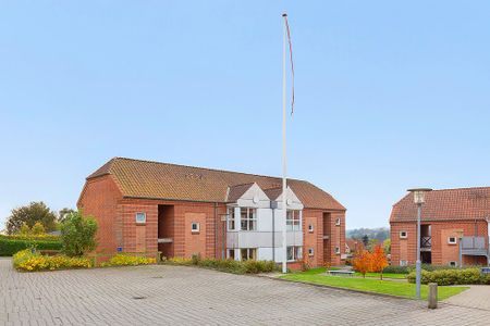 Afd. 6 Vestre Fasanvej - Photo 3