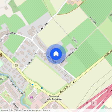 Rue de la Dude 37, 1267 - Vich, Suisse