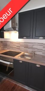 Location Appartement 1 pièce 28m² DIJON 21000 - Photo 3