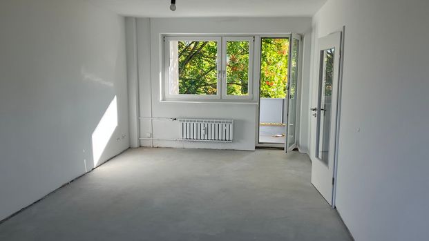 Komfort und Stil in Detmerode: Neu modernisierte 3-Zimmer-Wohnung - Photo 1