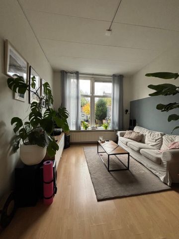 Kamer Alexanderstraat - Photo 3