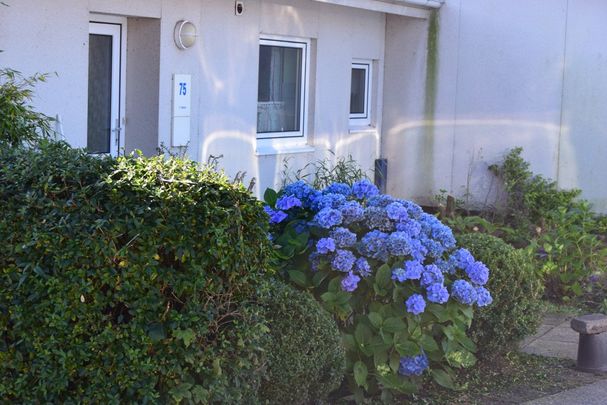 Frederiksdal Alle 60 B, 7800, Skive - Foto 1