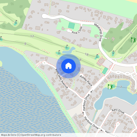 109 Benjamin Place, Matarangi