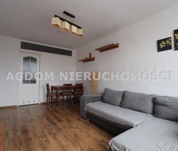 Kazimierza Wielkiego, Włocławek - Zdjęcie 4