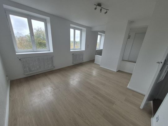 Location Appartement 2 pièces 41m² LILLE 59800 - Photo 1