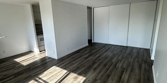 2 CH - 1 SDB - Gatineau - $1,699 /mo - Photo 3