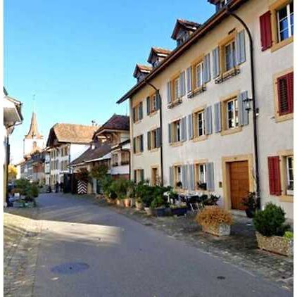 3½ Zimmer-Wohnung in Murten (FR), möbliert, auf Zeit - Foto 1