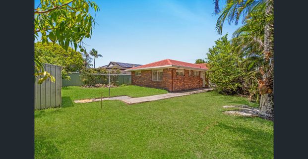 Freshly Renovated & Ready to Call Home - Photo 1