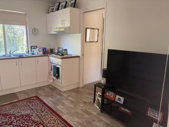 Springfield - Photo 1