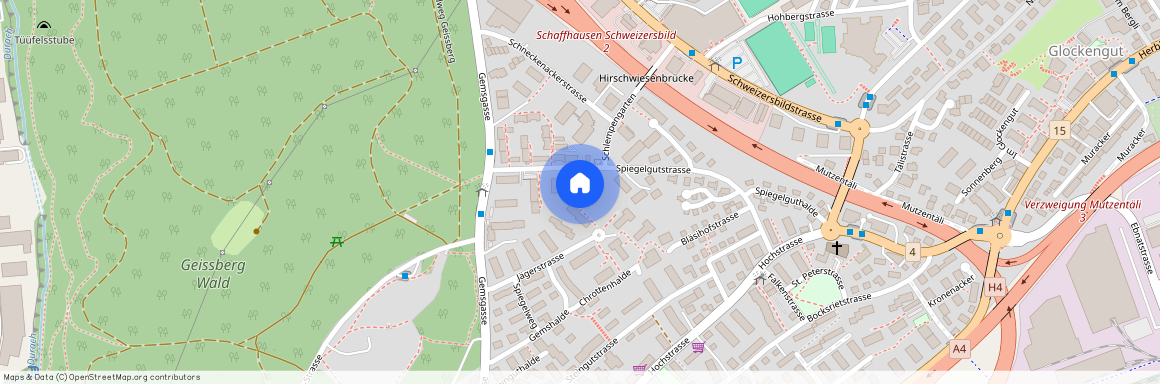 Spiegelgutstrasse 41, 8200 Schaffhausen, SH