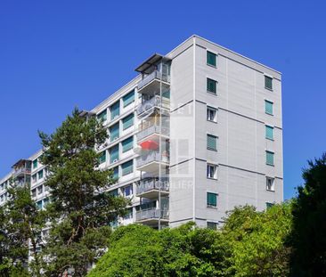 3 Zimmer, 55 m², 3. Stock - Photo 1