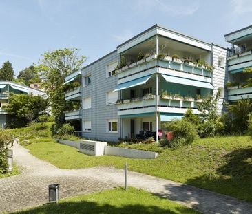 Familienwohnung am Südhang von Geroldswil - Foto 4