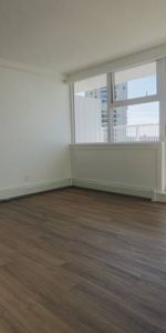 FULLY RENOVATED AND UPDATED 1 Bd 1Bth Penthouse - UNFURNISHED - Photo 4