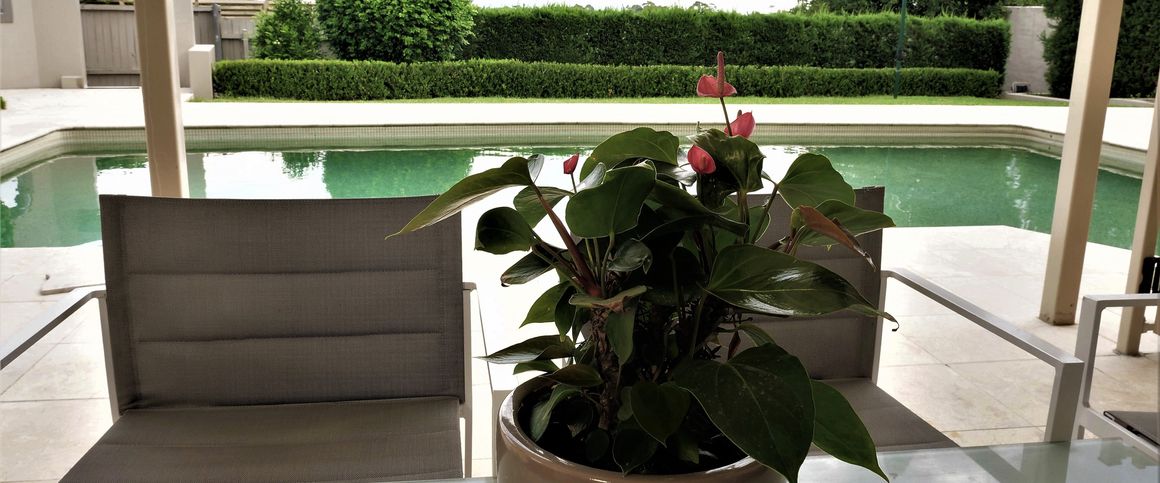 Frenchs Forest - Photo 1