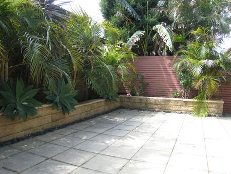 5 Unwin Street, Earlwood NSW 2206 - House For Rent | Domain - Photo 5