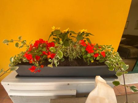 Estepona - Foto 3