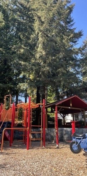 Blueridge Apartments - Photo 1