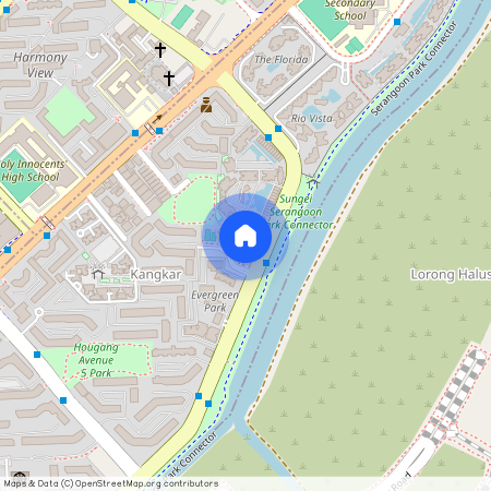 41 HOUGANG AVENUE 7, 533813, Singapore