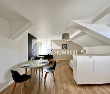 Location Appartement 1 pièce 31m² ST ETIENNE 42000 - Photo 3