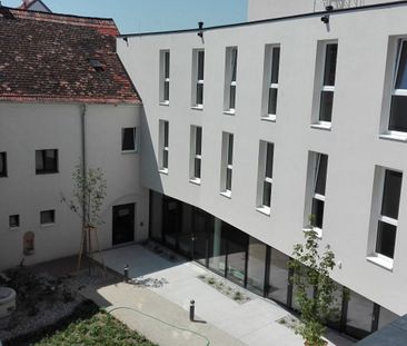 TRAISMAUER IX/1 - BW - Foto 2