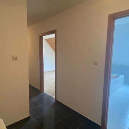 Appartement te huur Lokeren - Photo 1