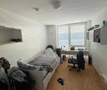 Tauschwohnung in Mainz: WG-Zimmer gegen eigene 1-Zimmer-Whg - Photo 1