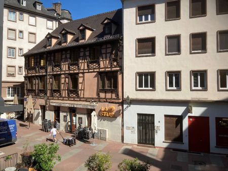 Location appartement 1 pièce 27.06 m² à Strasbourg (67000) - Photo 4