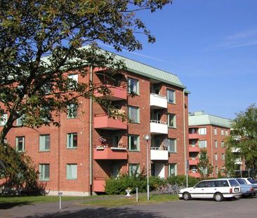 Pomonagatan 6 - Photo 1