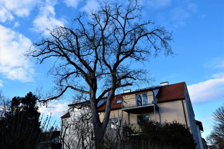 Schöne 3-Zimmer Wohnung im Dachgeschoss - Foto 2