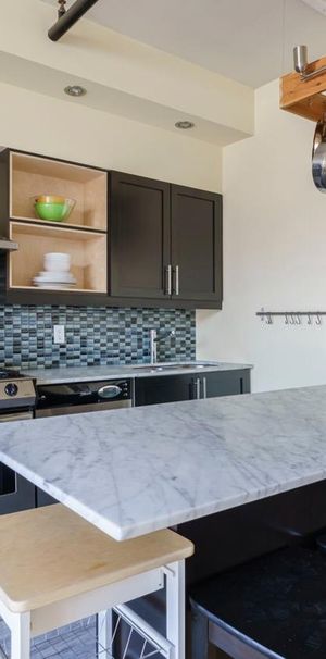 Appartement Montréal (Rosemont/La Petite-Patrie) � Louer - Photo 1