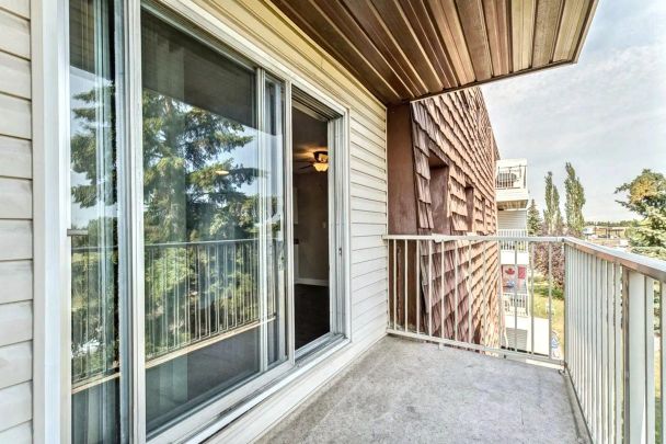 Blue Quill Pointe — 2-Bedroom Updated - Photo 1