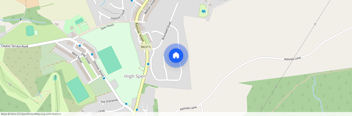 Ashtree Avenue, High Spen, NE39